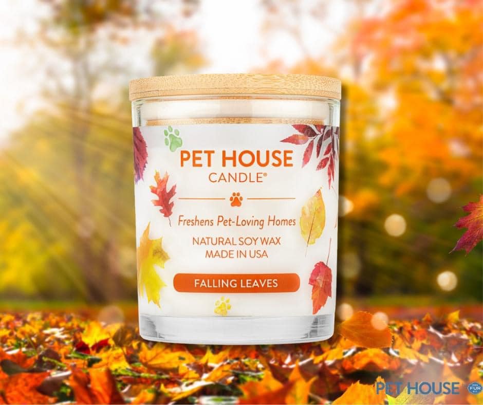 Bougie Feuilles d'automne - Falling leaves