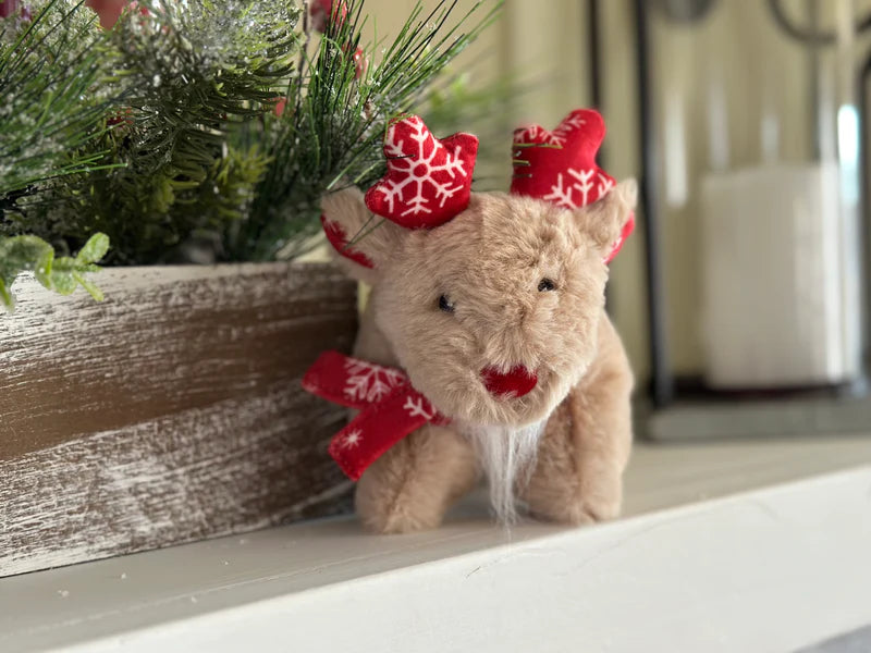 RENNE RUDY SQUOOSHIE