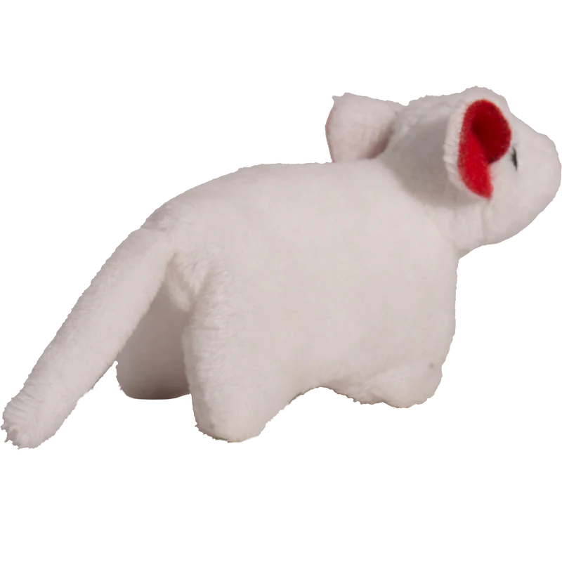 Coffret Cadeau WEE SQUOOSHIE + SOURIS - Paquet de 3