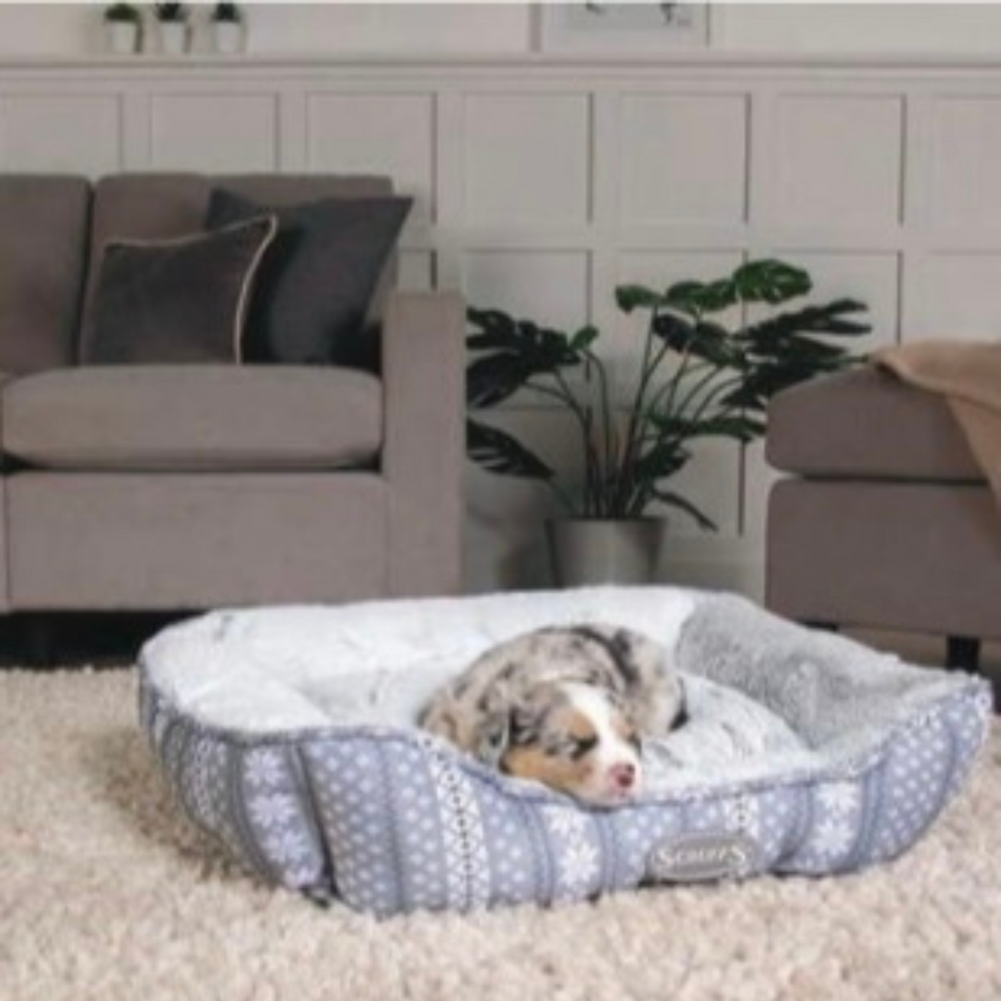 Corbeille Santa Paws - 58 cm
