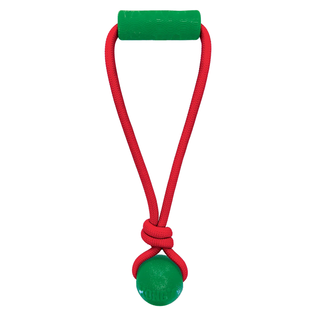 Jouet KONG JAXX BRIGHTS TUG